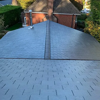 A dog is standing on the roof of a house.